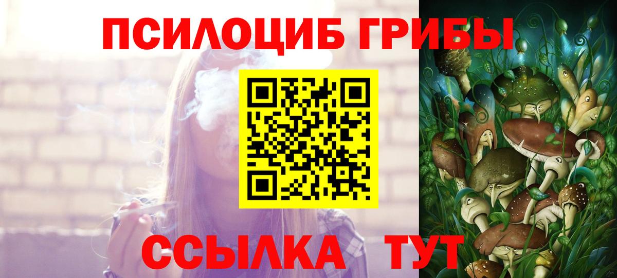 Псилоцибиновые грибы Magic Shrooms  Псилоцибиновые грибы мухоморы  Камышин  Вход с VPN 